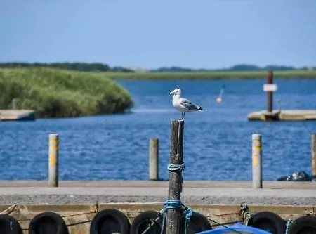 C11731-hemmet-jollen-1-st